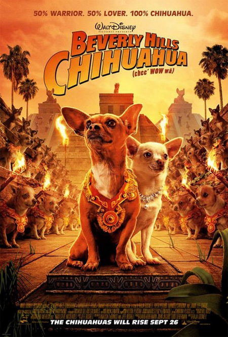 beverly-hills-chihuahua