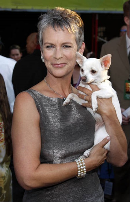 Jamie Lee Curtis: una carriera da urlo