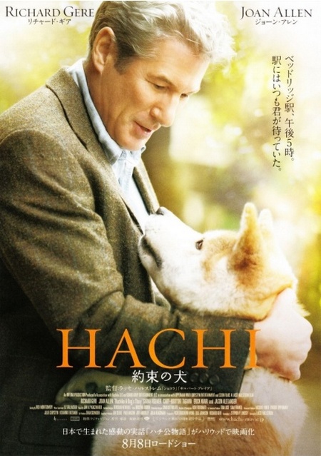 hachi