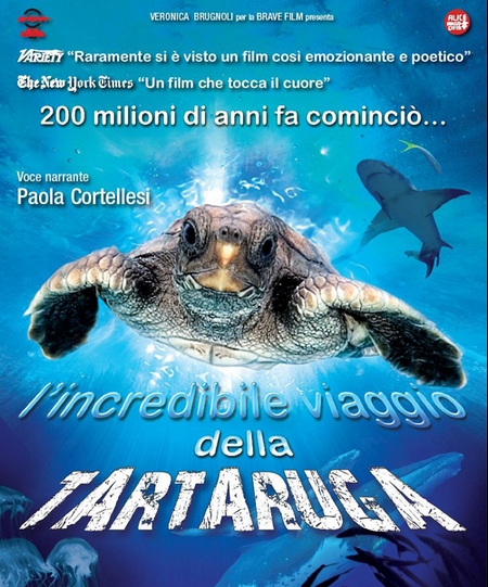 L'incredibile viaggio della tartaruga, trailer italiano