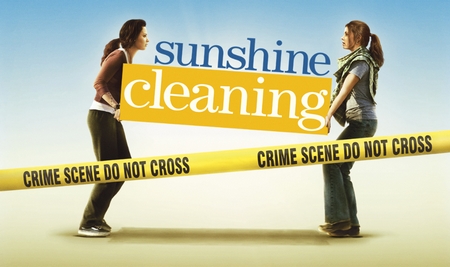 sunshine cleaning