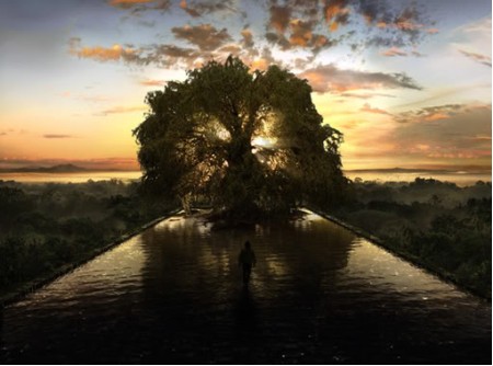 tree-of-life-movie []