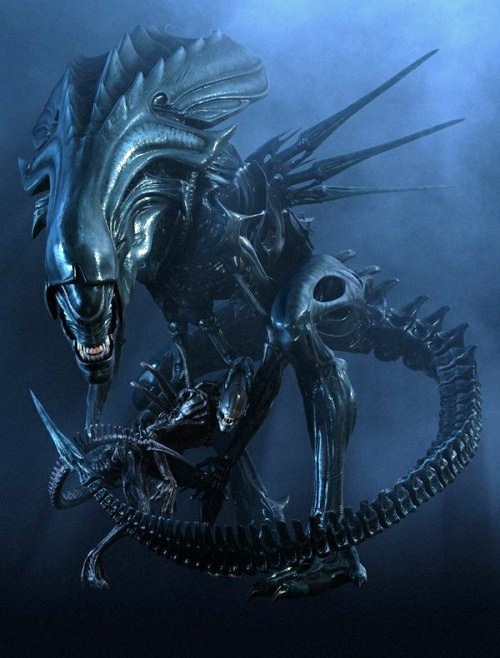 Resultado de imagen para alien xenomorfo todas las jerarquias