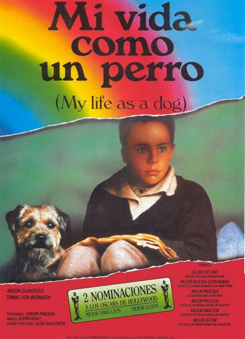 La mia vita a 4 zampe