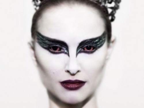 blackswan-15163997 (500 x 375)
