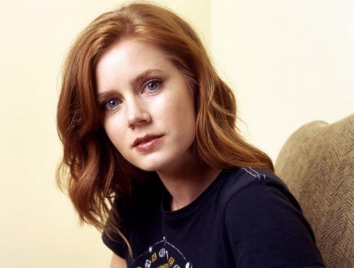 Amy Adams in The Master, Susan Sarandon in I hate you, Dad, David Fincher dirigerà Panic Attack?