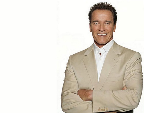 Arnold Schwarzenegger torna al cinema, Scott Speedman sarà Edwin Boyd, Tom Cruis in Rock of Ages, Susanna White dirige The Host