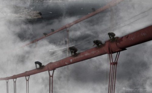 rise of the planet of the apes immagini (6)