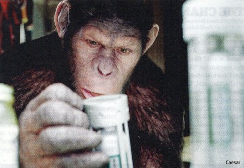 rise of the planet of the apes immagini