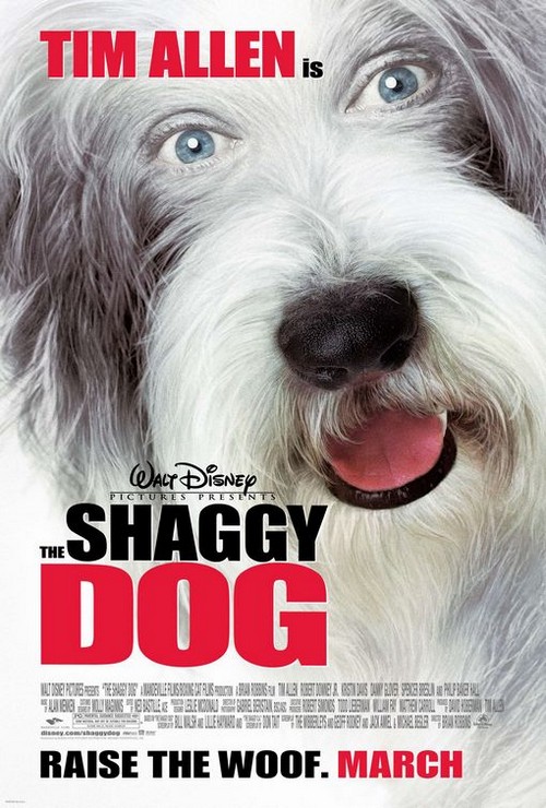 Shaggy Dog Papà che abbaia non morde, recensione