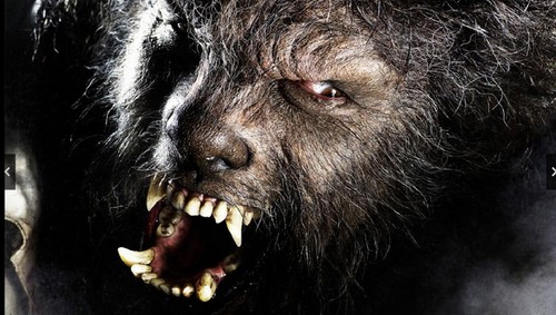 Werewolf, Louis Morneau alla regia del reboot di Wolfman