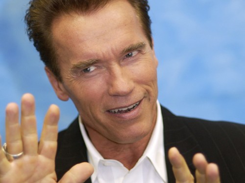 Arnold Schwarzenegger in Captive?