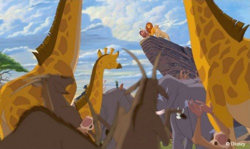 Il re leone 3d