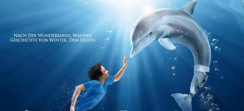 dolphin tale immagini poster