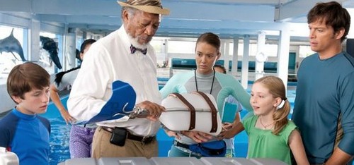 Box Office USA 30 settembre - 2 ottobre 2011: Dolphin Tale primo