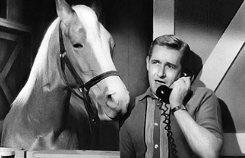 Mr. Ed, la Fox prepara il film