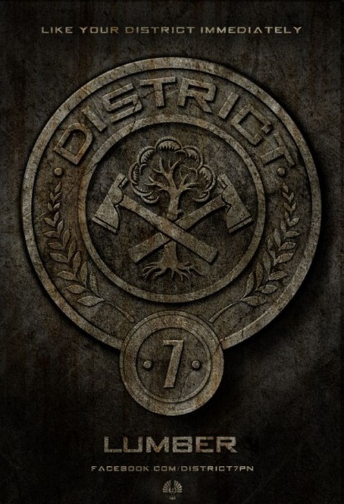 The Hunger Games, 5 poster 