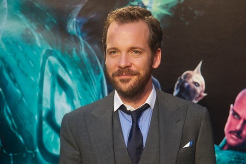 Amanda Seyfried e Peter Sarsgaard nel biopic Lovelace?