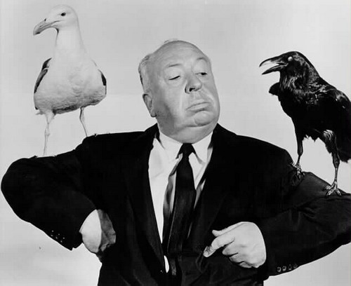 Gli uccelli, il classico di Hitchcock era basato su eventi reali (2)