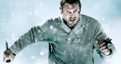 Box Office USA 27-29 gennaio 2012: The Grey primo