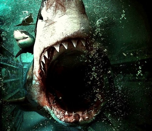 Horror news: Bait 3D, Torture Chamber, Pounce, Ninja vs. Monsters, Black Forest