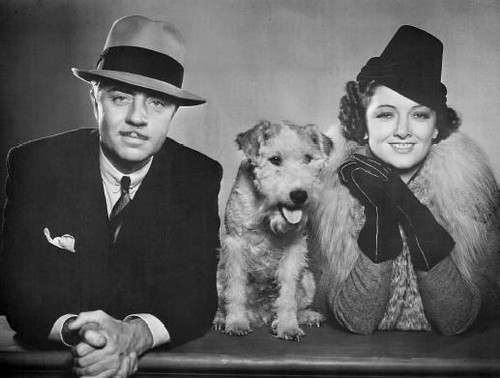 Warner Bros. rinvia The Thin Man, DreamWorks conferma Need for Speed per il 2014