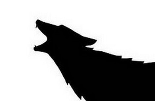 Una notte da leoni 3, primo teaser logo (3)