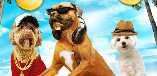 Doggie B: trailer, poster e immagini della commedia con cani ballerini