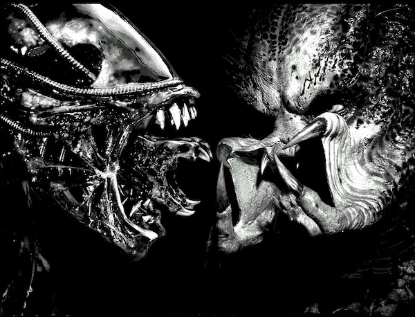 alien vs predator