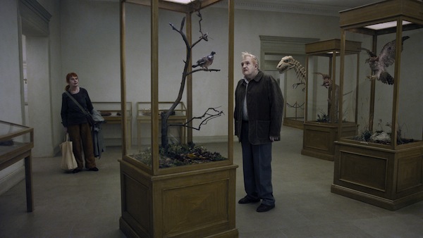 11610-En_duva_satt_pa_en_gren_och_funderade_pa_tillvaron_1–__Roy_Andersson_Filmproduktion_AB