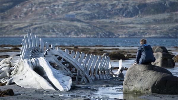 London Film Festival 2014: Leviathan è il Miglior Film