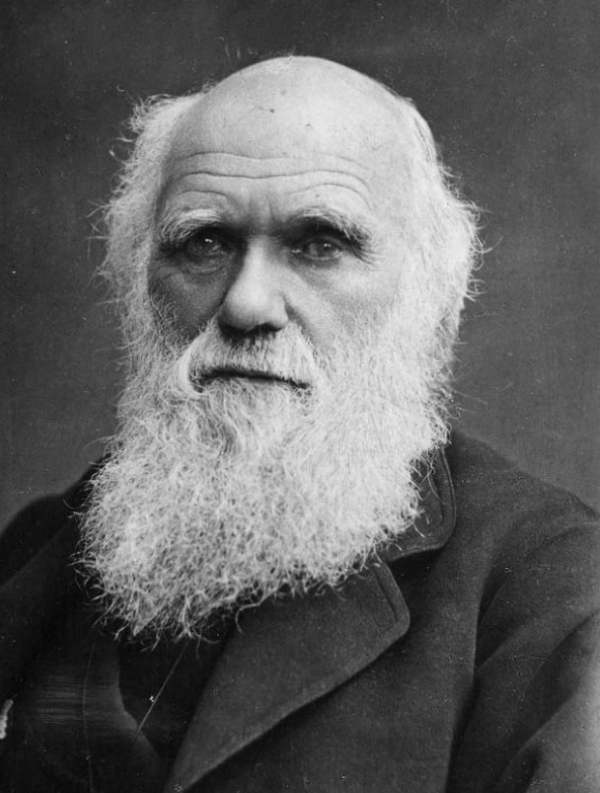 La Disney farà un film su Charles Darwin