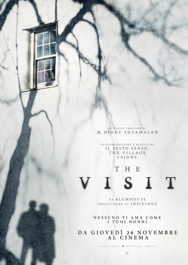 the visit