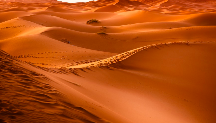 Perchè Dune è tra i film più apprezzati del 2021?