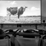 cinema_all_aperto